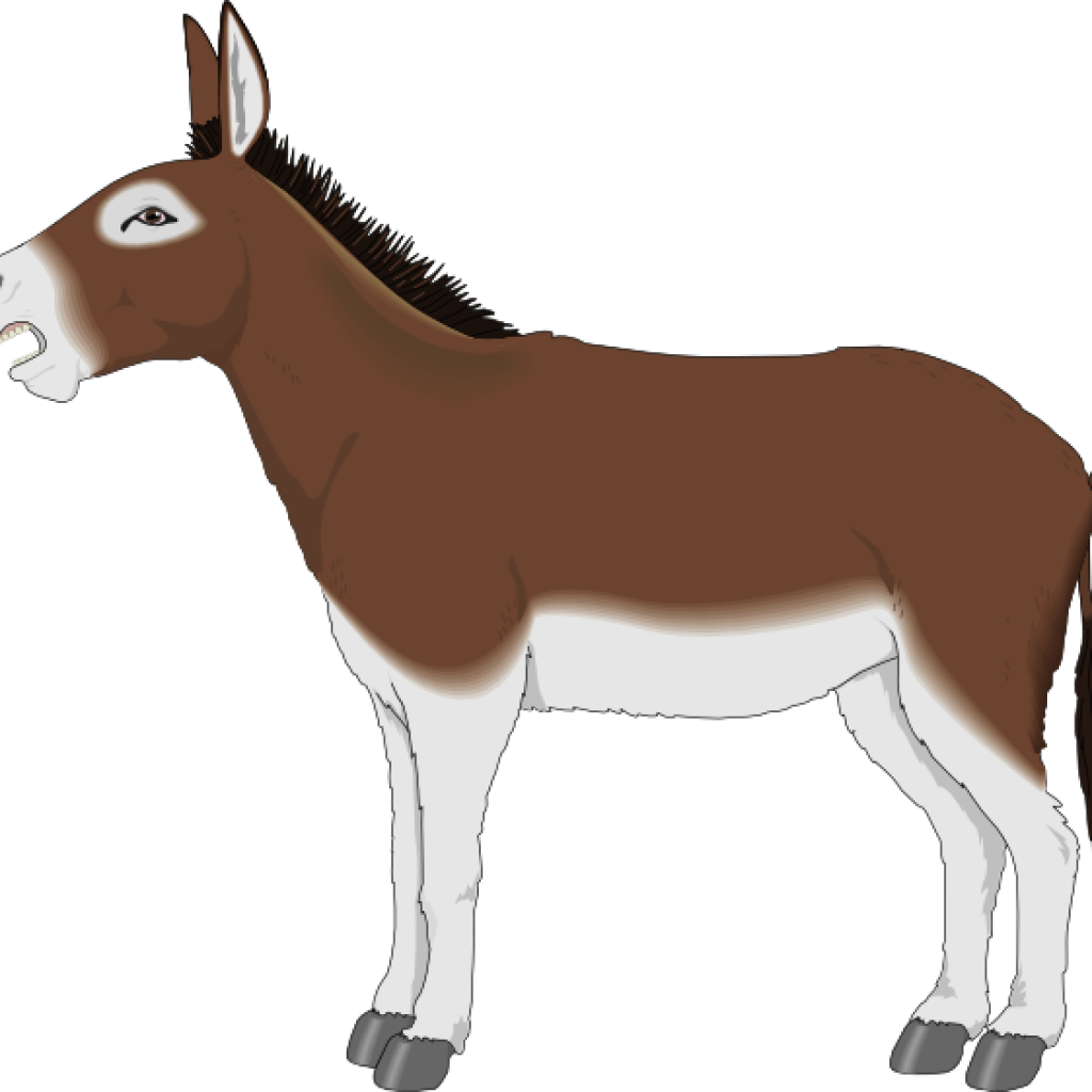 Donkey Clip Art Brown And White Donkey Side View Clip - Donkey Clipart (1024x1024)