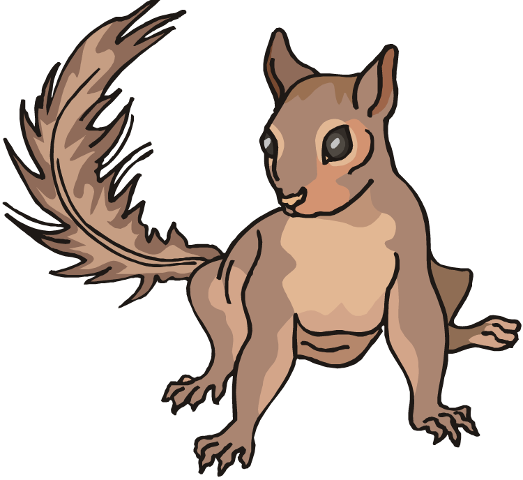 Free Squirrel Clipart - Clip Art (750x688)