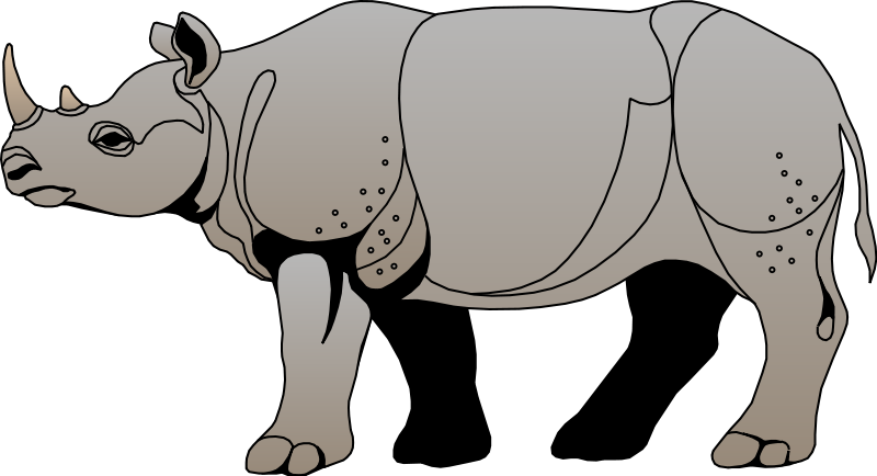 Animals Rhino Clipart Animal Cliparts Free Download - Rhinoceros (800x434)