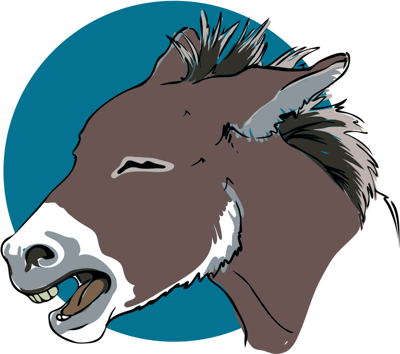 Donkey Closeup - Cabeza De Burro Dibujo (845x768)