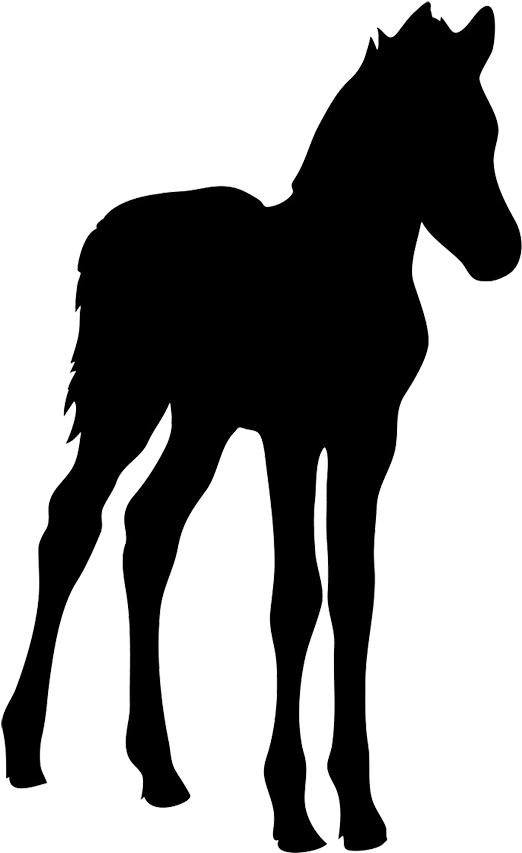 Horse Silhouette - Foal Silhouette Clip Art (567x886)