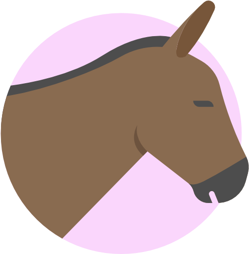 Donkey Free Icon - Mammal (512x512)