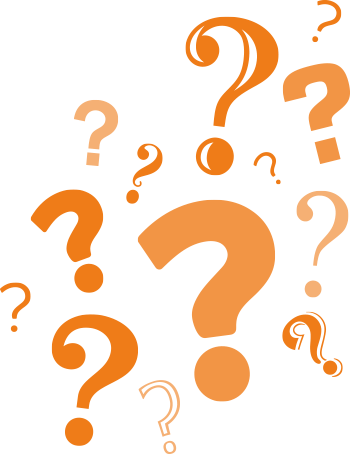 In 2014 We Rescued 388 Donkeys In Ireland - In 2014 We Rescued 388 Donkeys In Ireland (350x455)