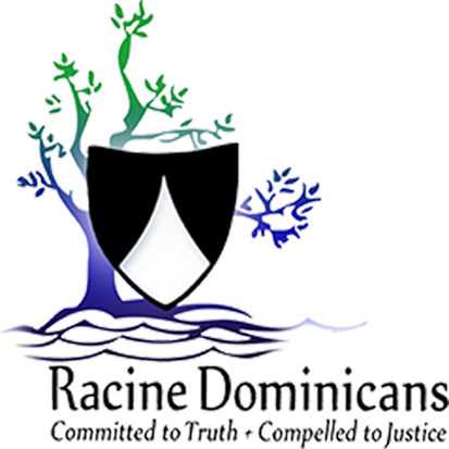 Director Of Health Services - Racine Dominicans (413x413)