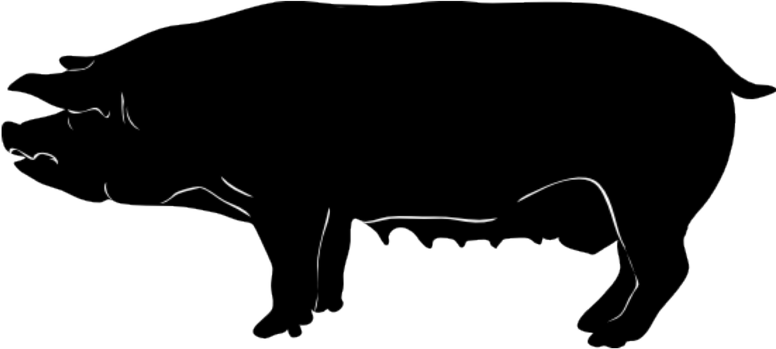 Pig Female Silhouette Png Public Domain Free Image - Pig Silhouette (1100x495)