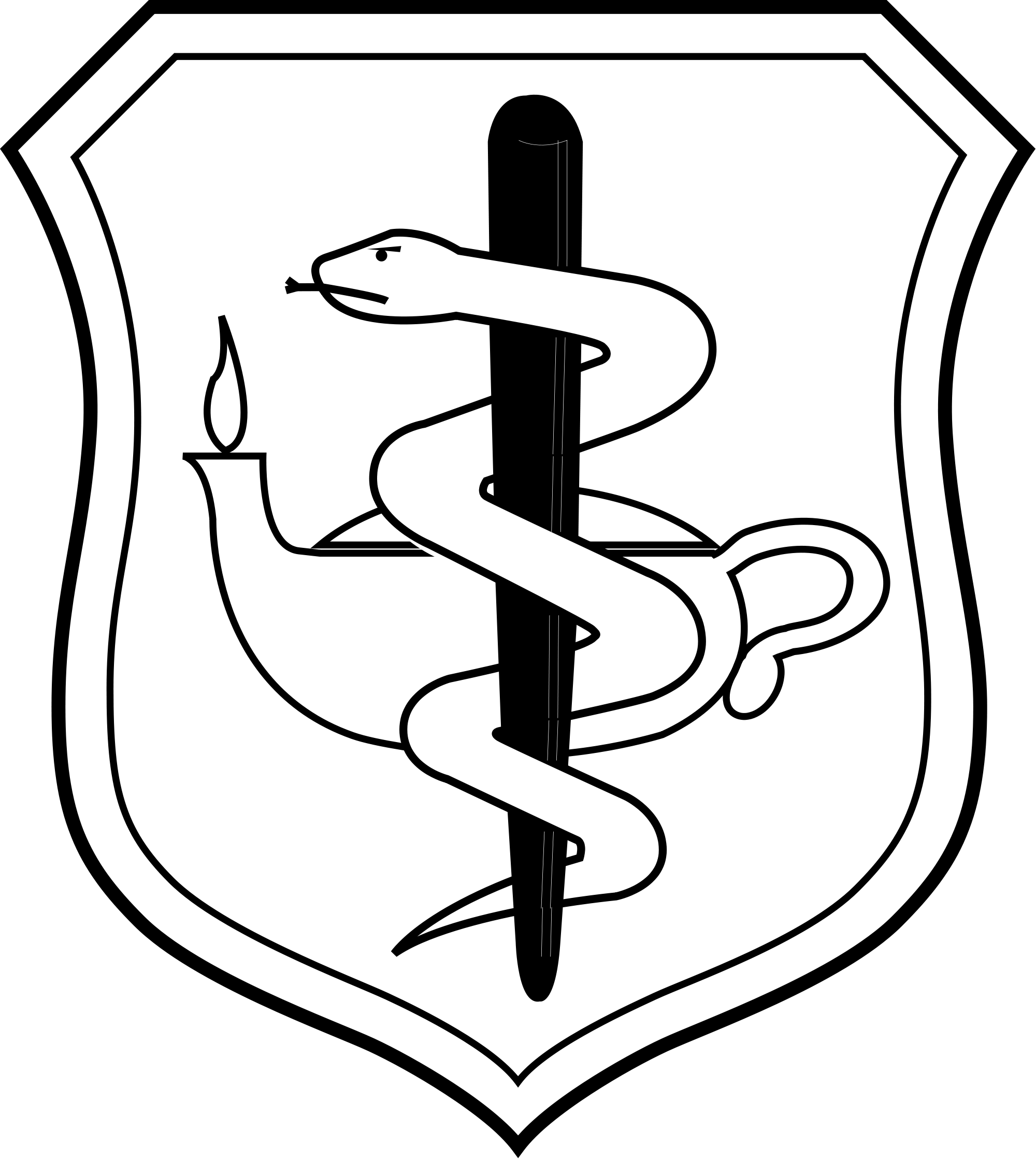 United States Air Force Nurse Corps Badge - Air Force Medical Corps (2000x2242)