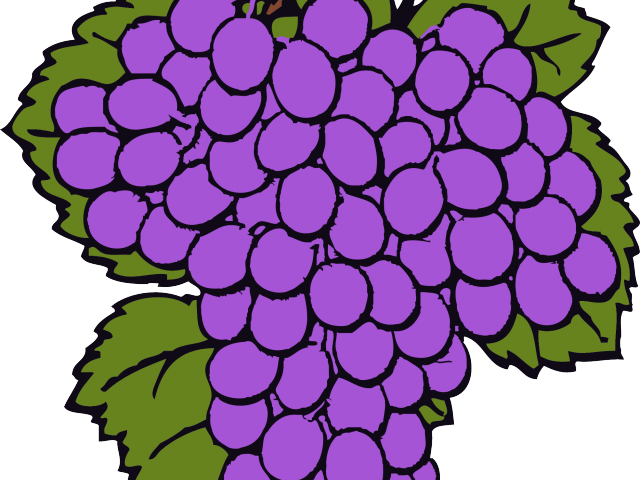 Grapes Clipart Ten - Giant Grapes In The Bible (640x480)