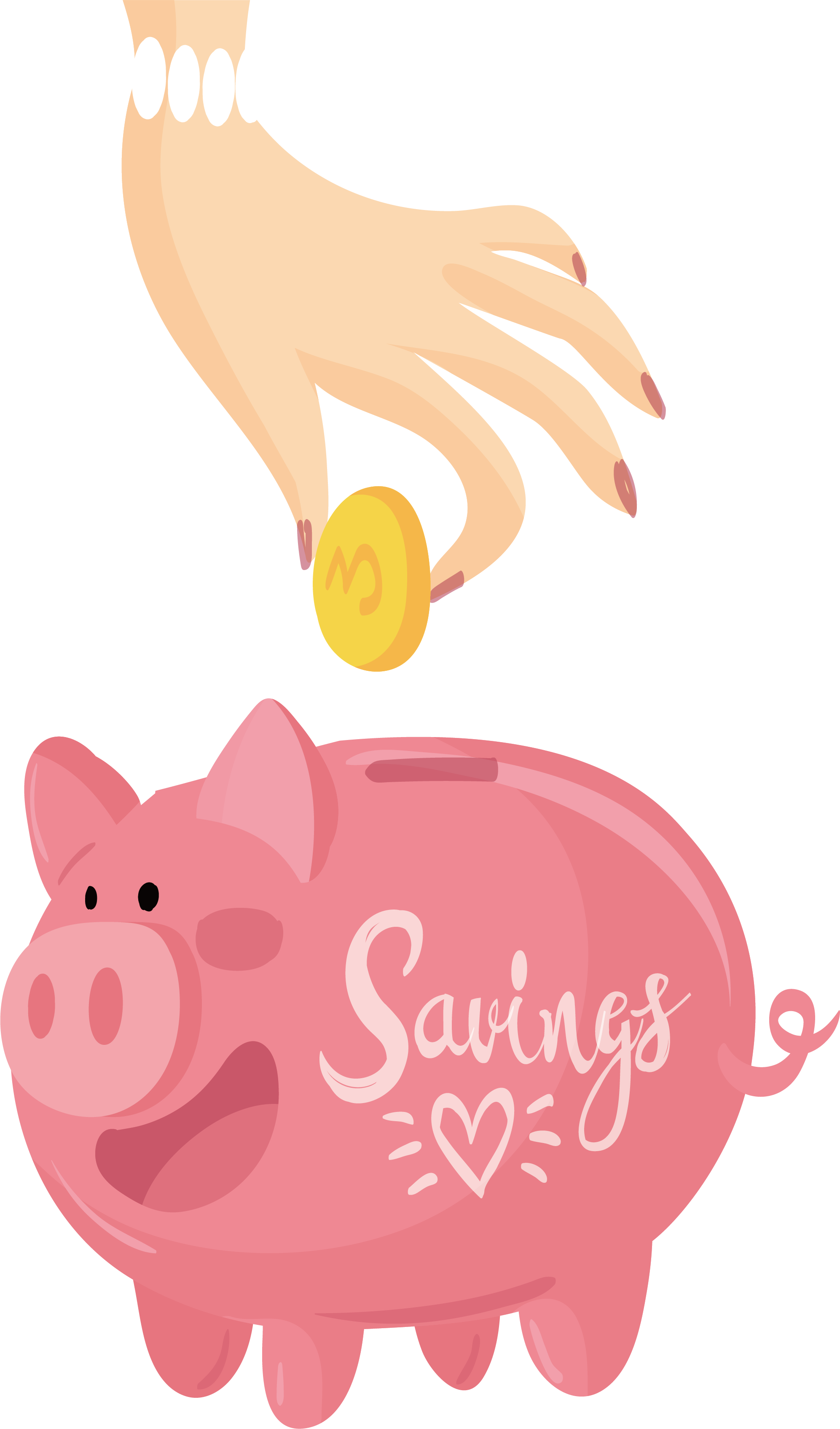 Domestic Pig Piggy Bank Gold Coin Alcancxc3xada - Alcancia Png (1993x3389)