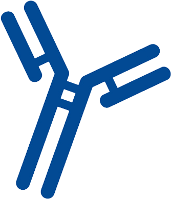 Back To School Clipart Images For Kids - Antibody Icon Png (400x400)