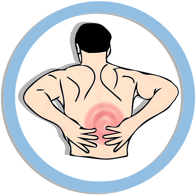Quadratus Lumborum Why It Hurts And How To Fix It Physioprescription - Low Back Pain Clipart (720x720)