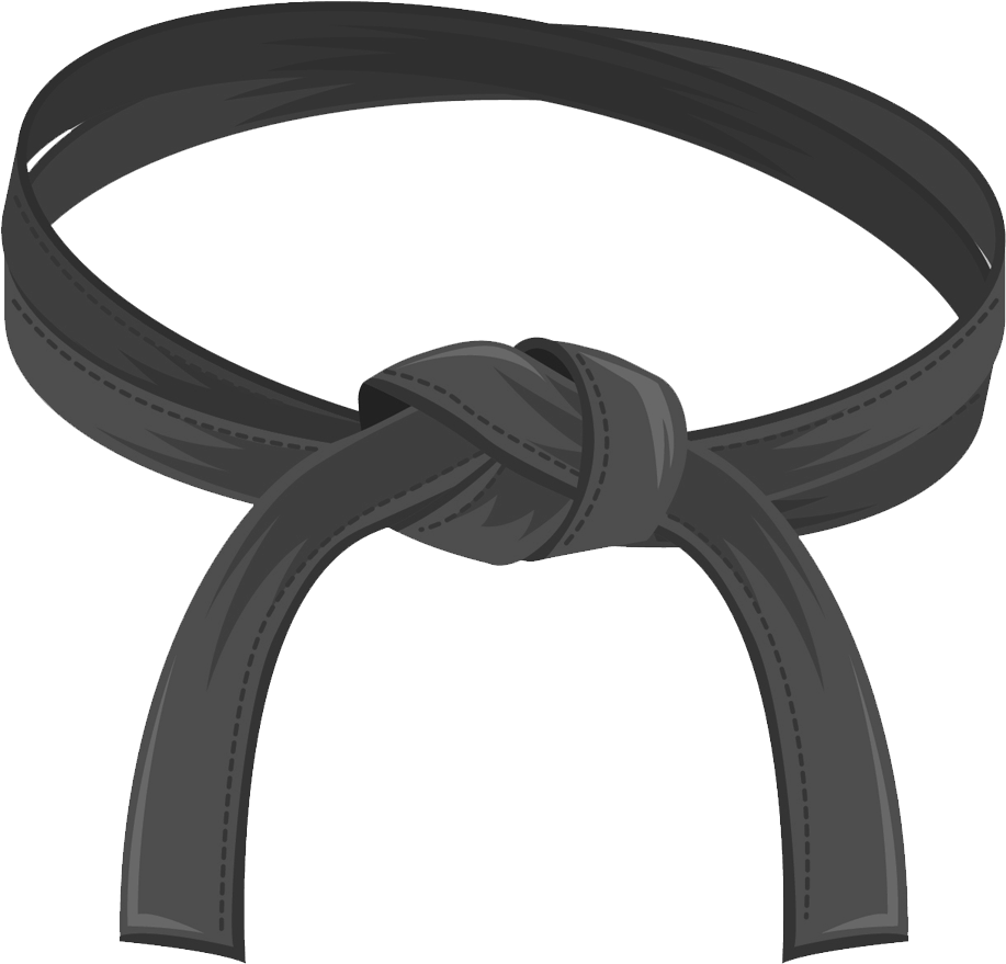 Black Belt Clipart - Black Belt Six Sigma (954x894)