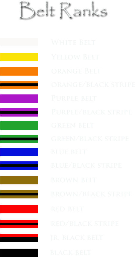 Kim Martial Arts - Orange (500x1000)