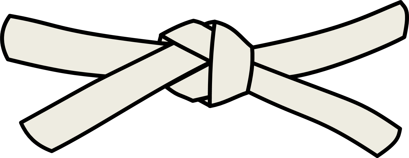 White Signifies A Birth, Or Beginning, Of A Seed - Jiu Jitsu White Belt (1331x515)