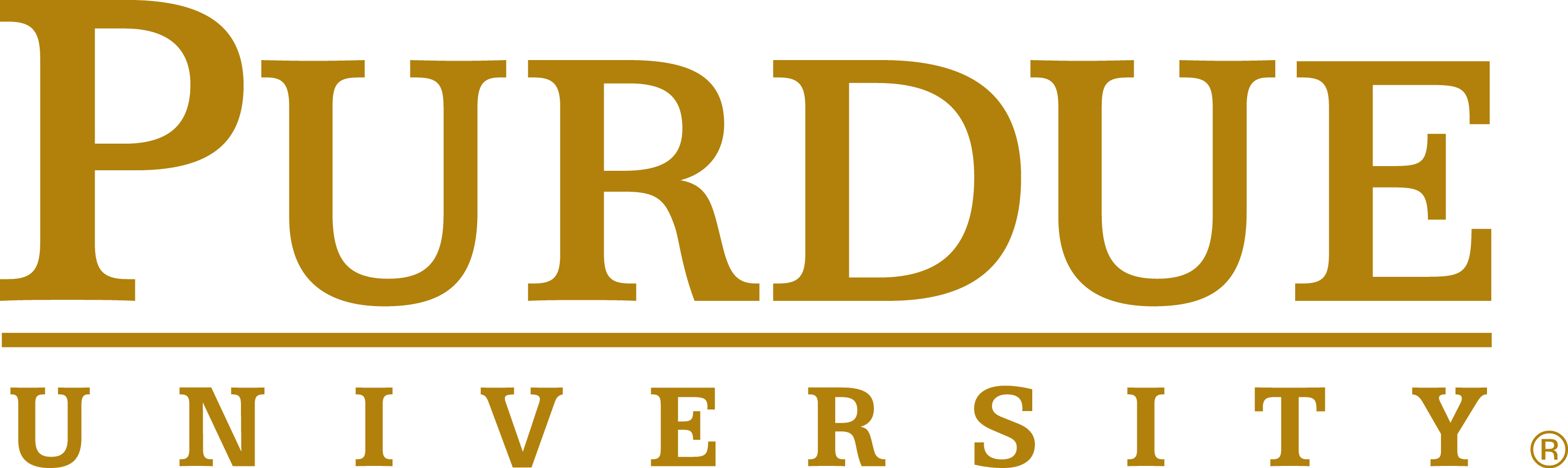 Purdue University (3000x896)