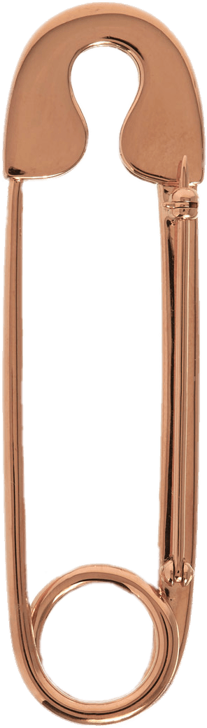 Safety Pin Png - Transparent Safety Pin Clipart (960x1153)