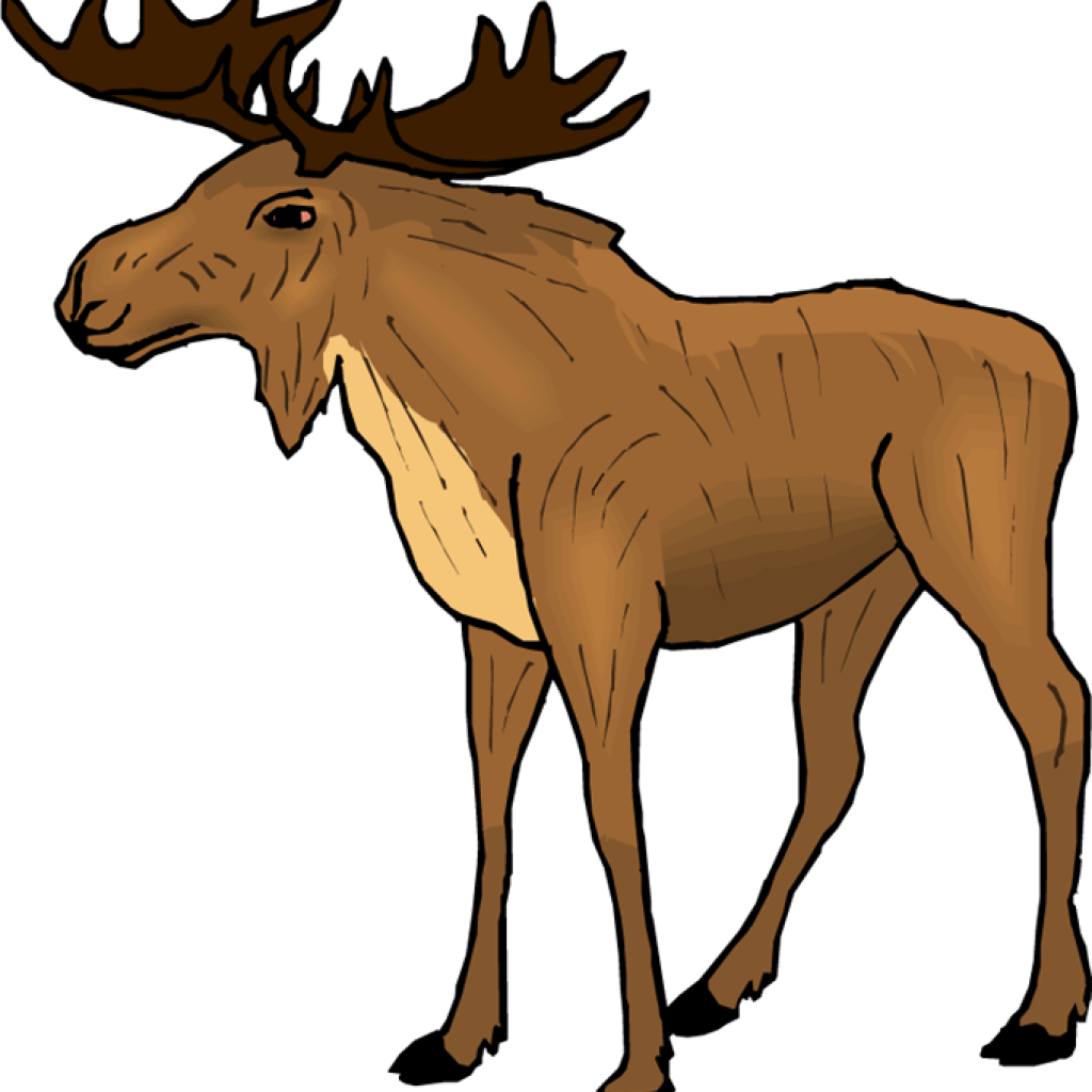 Moose Clipart Top 75 Moose Clip Art Free Clipart Image - Moose9168 Picture Ornament (1024x1024)