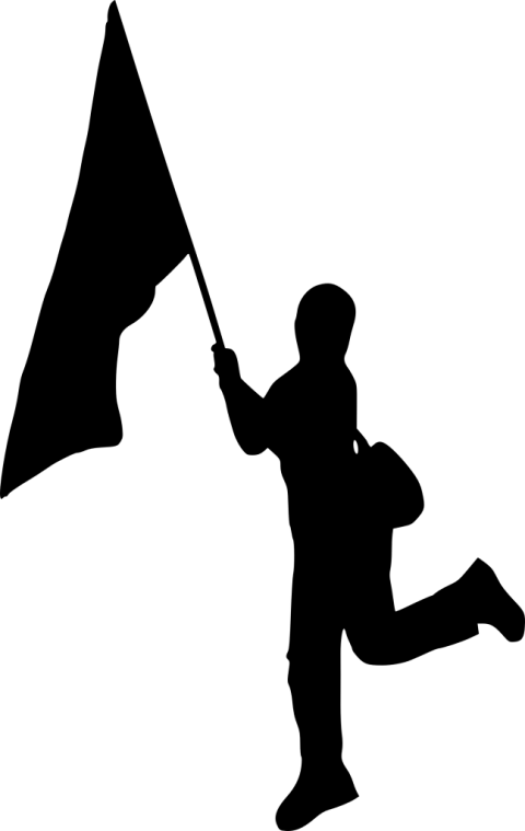 Free Png Person With Flag Silhouette Png Images Transparent - Portable Network Graphics (480x759)