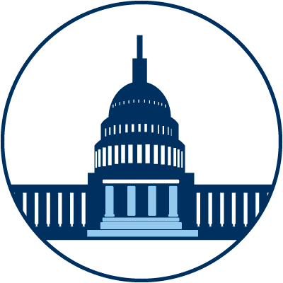 We Maintain Government Facilities In 30 Countries - Local Government Icon (400x400)