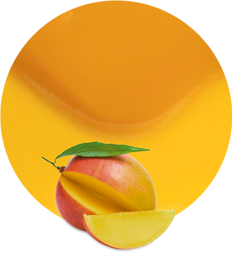 Mango Puree - Still Life (536x595)