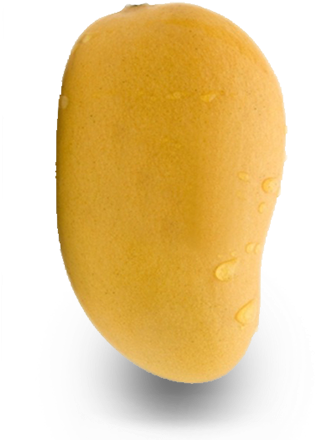 0 Out Of - Mango (427x502)