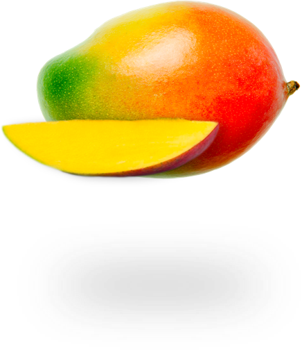 We Are Pleased To Announce That We Are Working With - Mango (436x504)