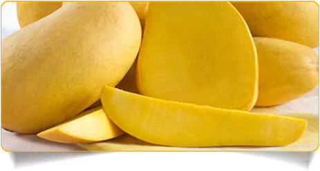 Totapuri Mango Concentrate Is Extracted From Best Quality, - Pakistani Mango (500x250)