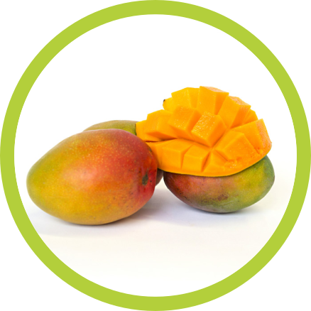 Onsite Support Icon (438x438)