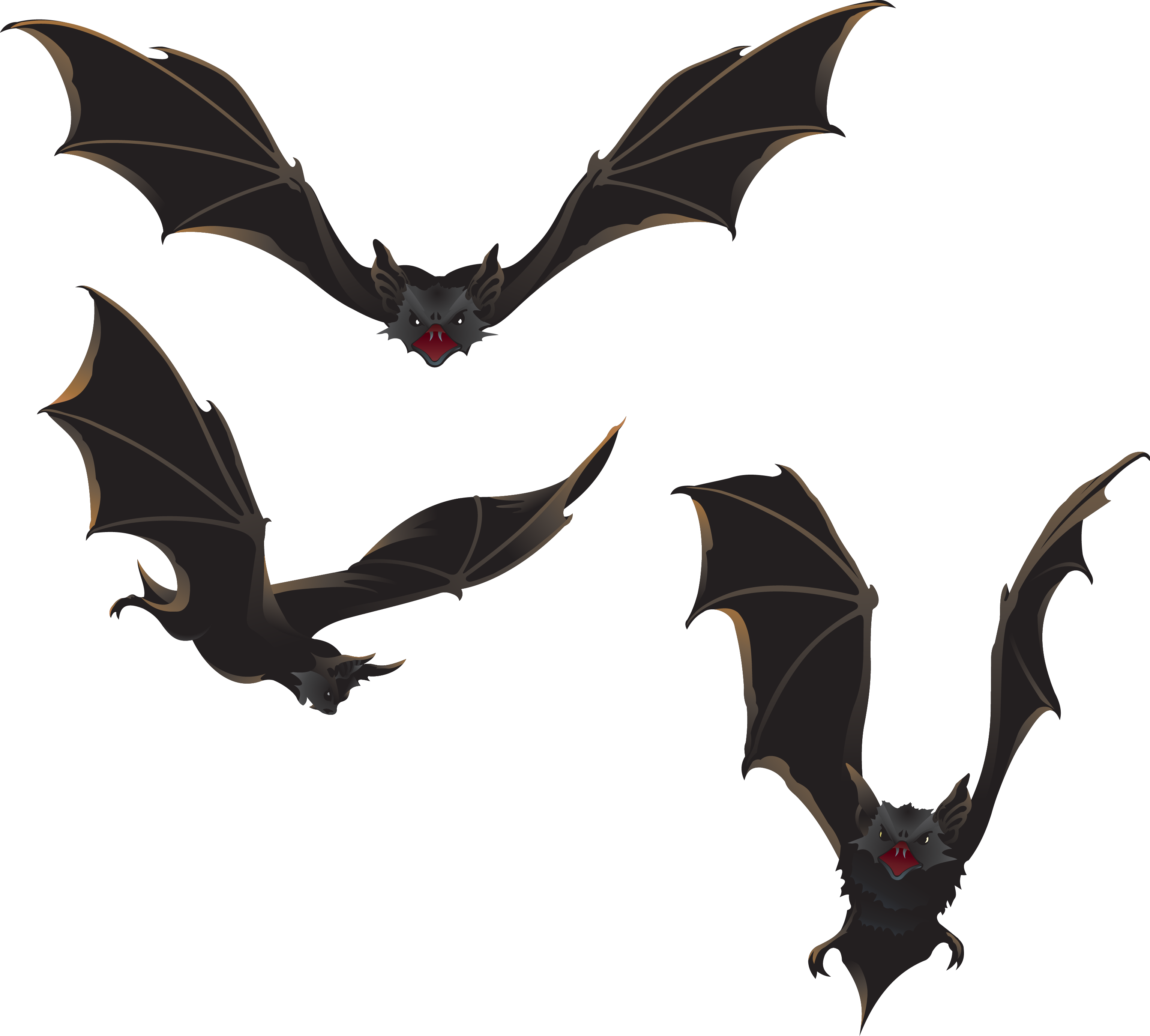 Bat Halloween Clip Art - Vampire Bat Shower Curtain (3066x2761)