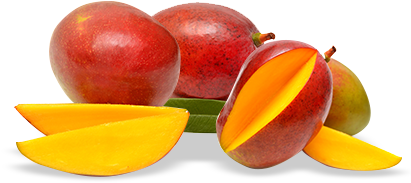 Magic Velvet Mango Pouch 5 Months - Starfruit (424x302)