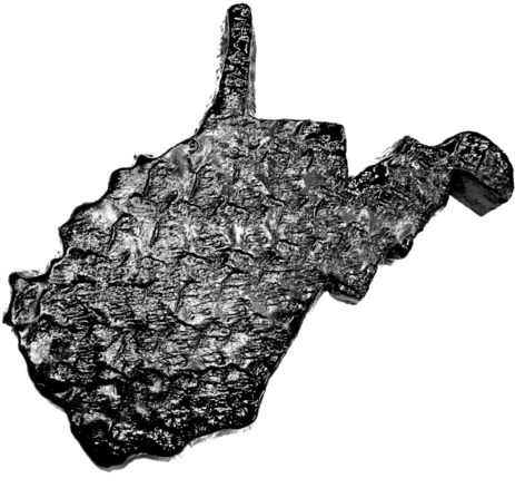 West Virginia Wall Art - Art (480x480)