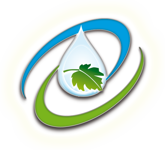 Green Cleaning Logo - Cleaning (550x500)