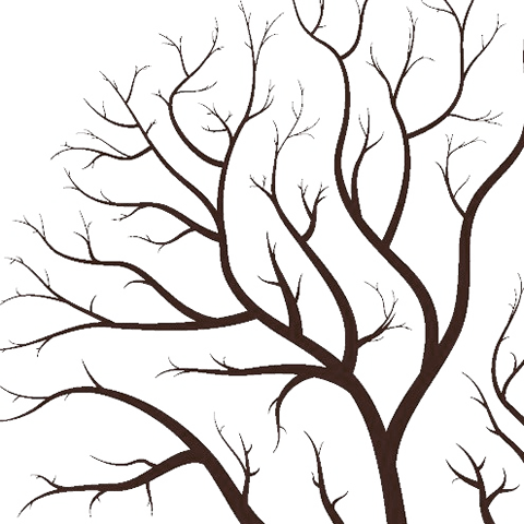 Tree-002 - Branches Of Tree Drawing (480x480)