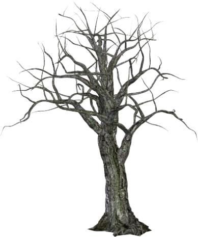 Tree-041 - Scary Tree Png (389x465)