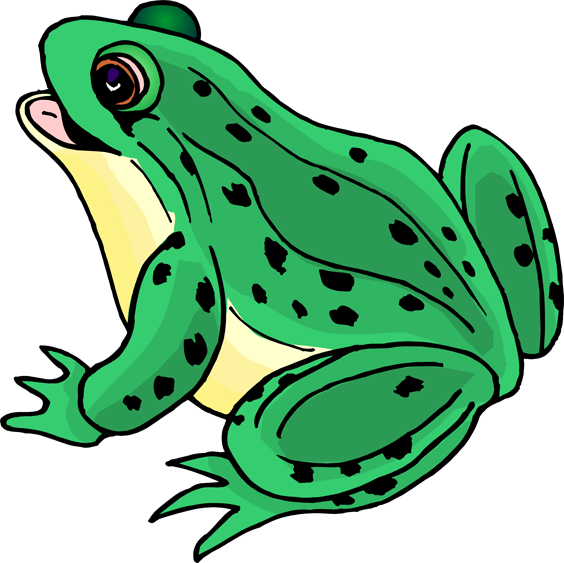 Frog Clip Art - Mink Frog (564x563)