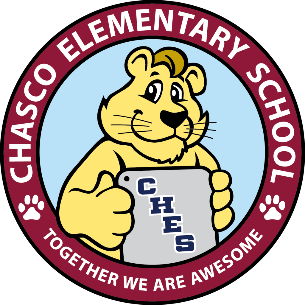Chasco Elementary School - Singapore Football Association Logo (1024x1024)