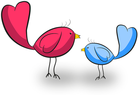 Bird Animals Flying Birds Raptor Young Bir - Erhalten Sie Wohle Karte (582x340)