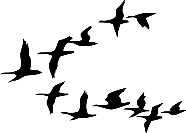 Bird Migration Clipart 2 By Ethan - Flock Of Birds Clipart (600x431)