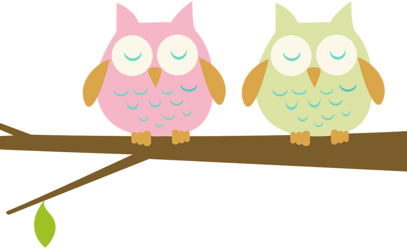 Free Farm Animal Clipart For Teachers Free Download - Owl On A Branch Clipart (800x491)