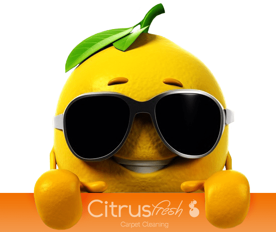 08 Aug Why Is Citrusolution Carpet Cleaning So Different - Grape (550x463)