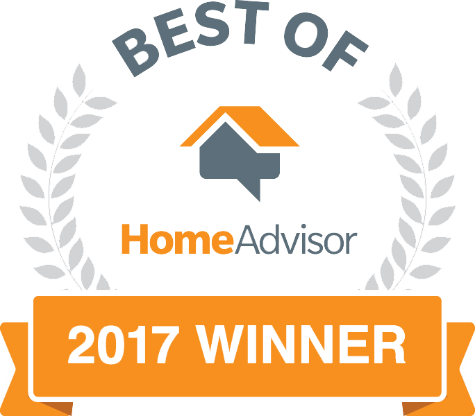 Quick Drying Carpet Cleaning - Best Of Home Advisor 2017 (684x600)
