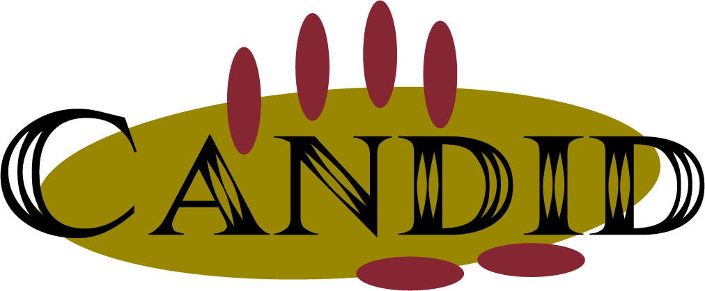 Candid Carpet Cleaning Champaign Il Urbana Savoy - Candid Carpet Cleaning Champaign Il Urbana Savoy (1012x418)