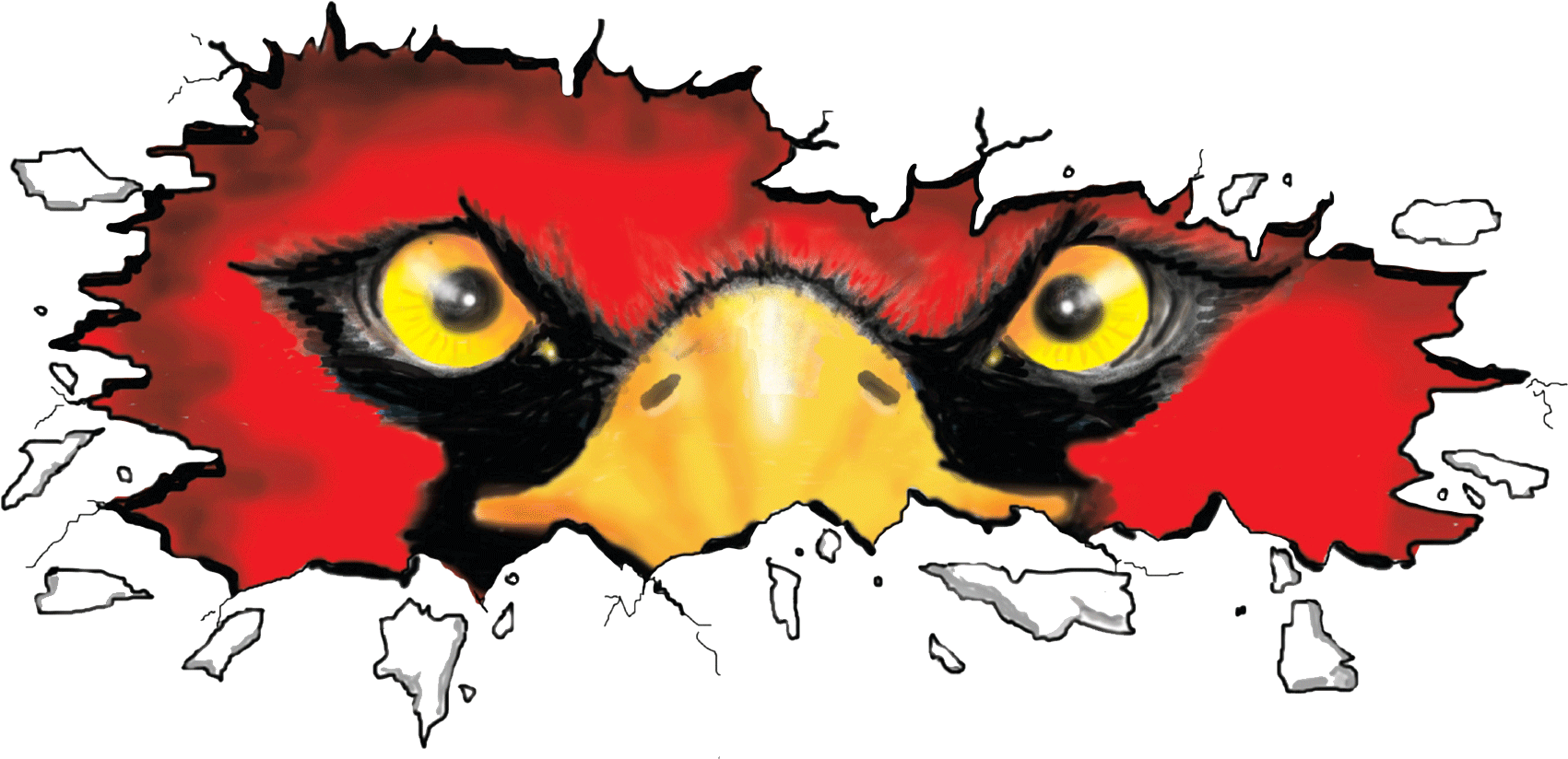 Upper Dublin Township (1920x1080)