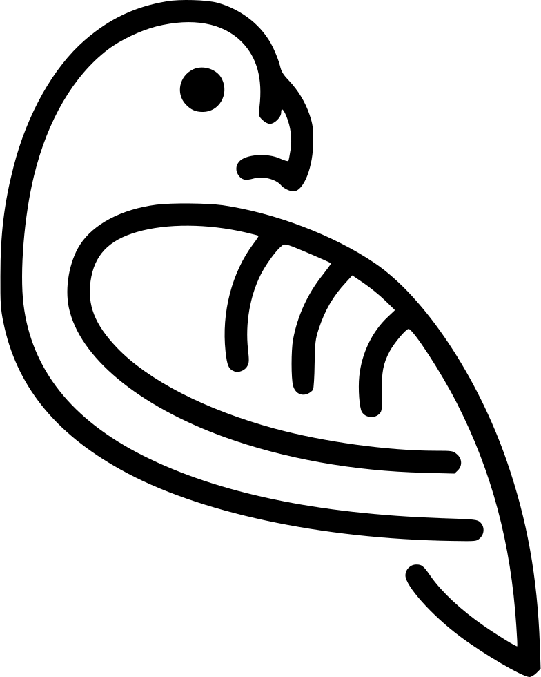 Parrot Comments - Parrot (784x980)