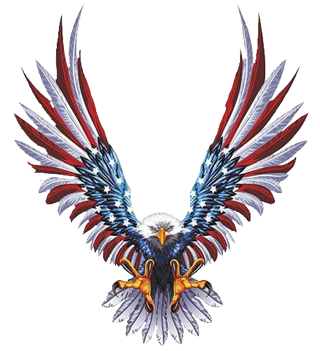 American Eagle Tough Enough - Eagle With American Flag Wings (456x500)