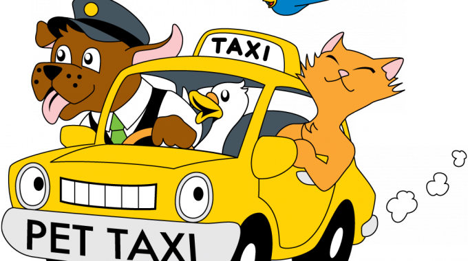Pet Taxi Insurance - Taxi Pet Png (680x380)