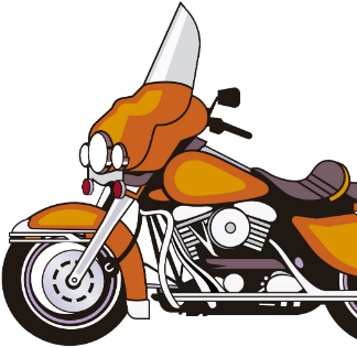 Bikers, There Is Nothing More Fun Than Enjoying Countryside - Motorcycle (455x321)