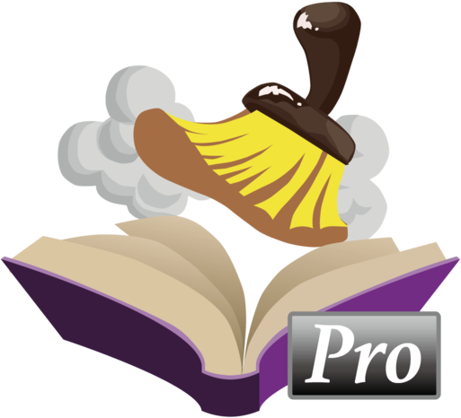 Duplicate File Cleaner Pro App Logo - Duplicate File Cleaner Pro App Logo (512x512)