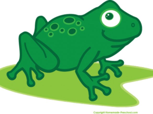 Free Frog Clipart - Clip Art (640x480)