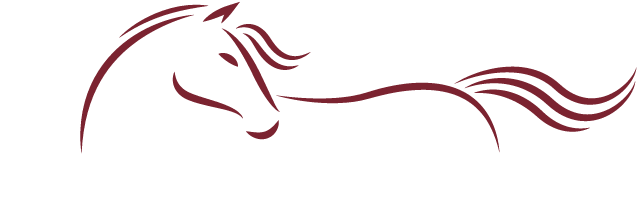 Menu - Stallion (700x300)