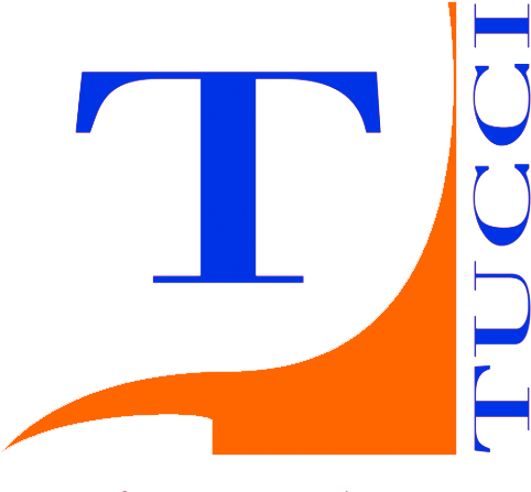 Tucci Logo Small - Tucci Boots Logo (513x468)